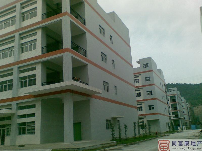 供應(yīng)深圳光明大小面積廠房出租