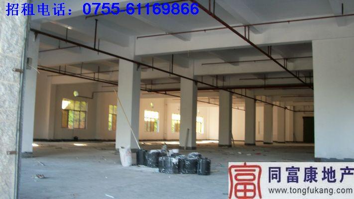 廠房招租圖片/廠房招租樣板圖 (3)