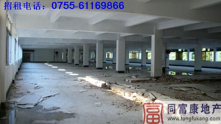 光明廠房招租—廣東深圳廠房光明廠房招租廣東深圳廠房