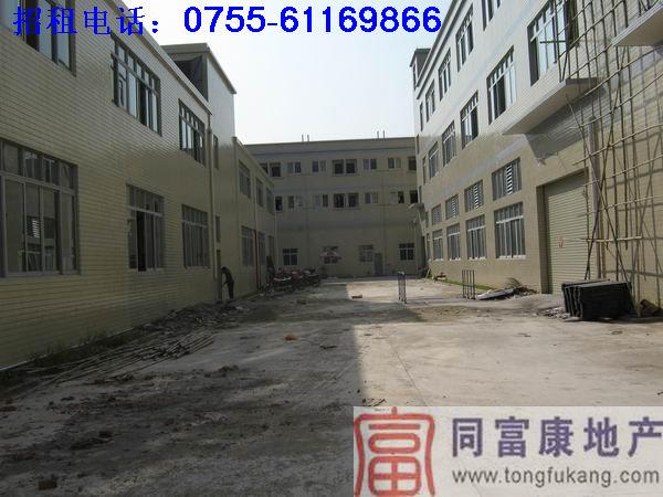 廠房招租圖片/廠房招租樣板圖 (2)