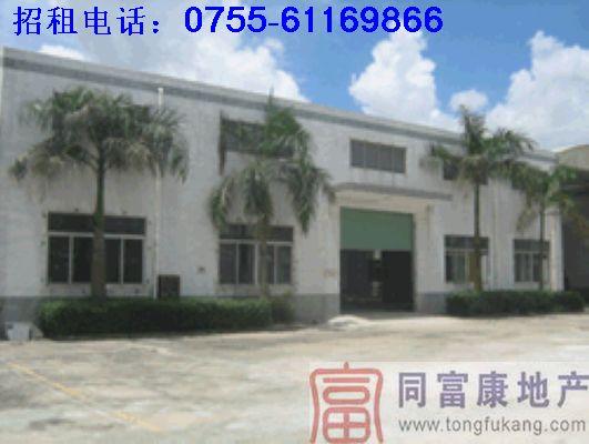 迎大運—公明廠房迎大運公明廠房