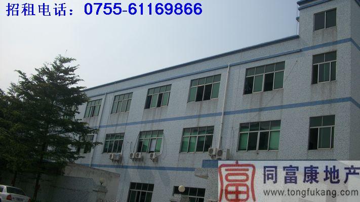 供應標準獨院4650平米廠房招租