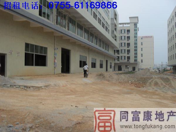 供應(yīng)光明新區(qū)*高新產(chǎn)業(yè)園廠房招租