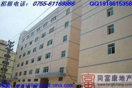 公明全新獨(dú)院廠房出租