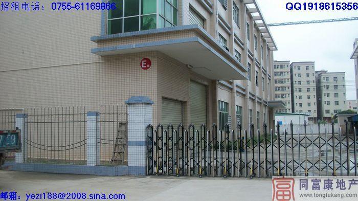 供應(yīng)松崗全新獨門獨院廠房租賃