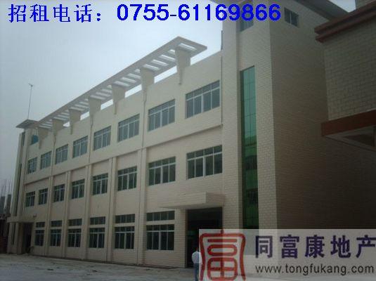 石巖公明廠房出租圖片