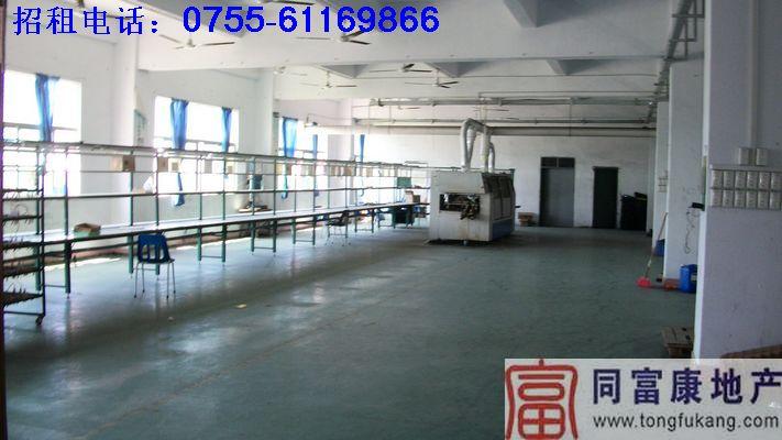 廠房招租圖片/廠房招租樣板圖 (4)