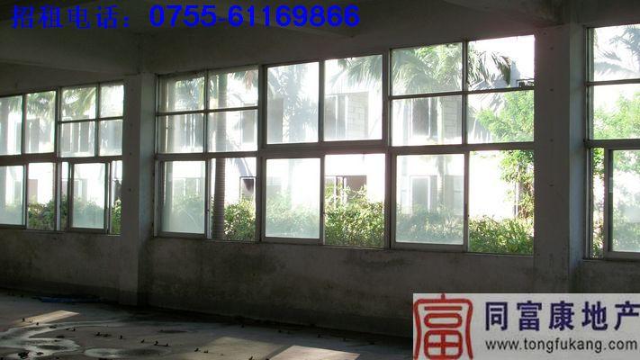 公明廠房公明一樓廠房招租圖片