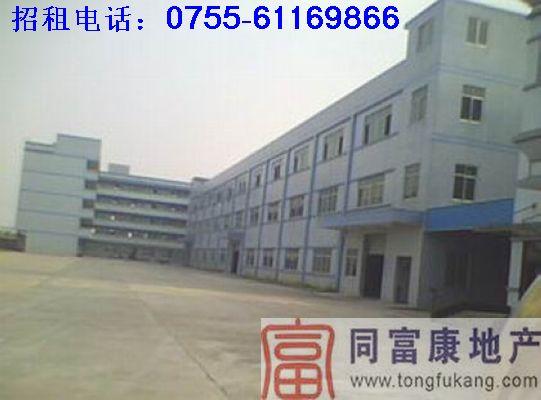 深圳石巖獨(dú)院廠房招租圖片