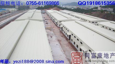公明大面積鋼構(gòu)廠房招租