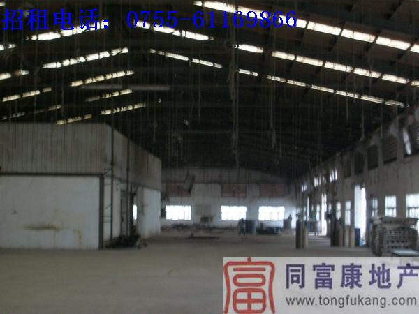 供應(yīng)公明獨(dú)院鋼結(jié)構(gòu)廠房招租—寶安廠房公明獨(dú)院鋼結(jié)構(gòu)廠房招租寶安廠房