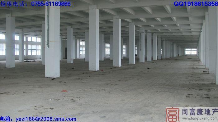 供應(yīng)深圳石巖汽車(chē)站附近一樓廠房出租