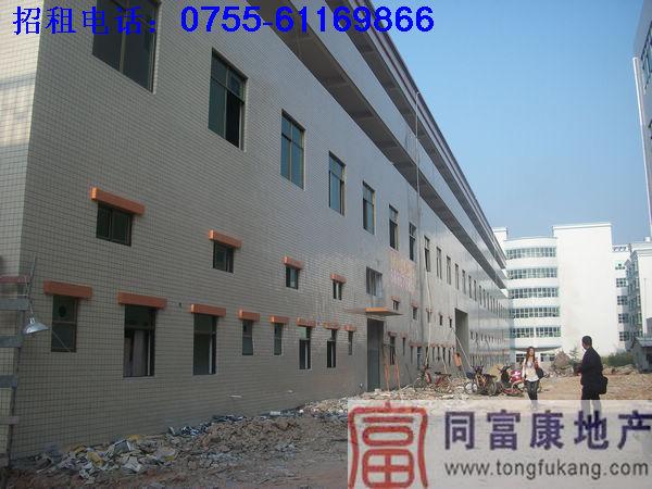 公明重工業(yè)廠房招租公明廠房圖片