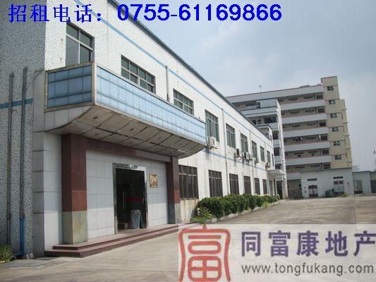 公明獨(dú)院廠房招租（公明廠房）