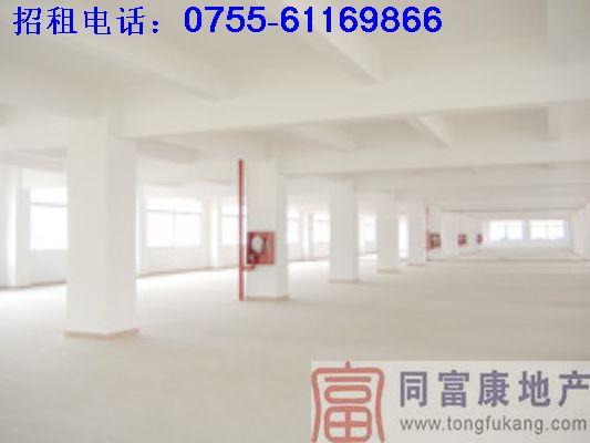 供應(yīng)深圳廠房分層招租