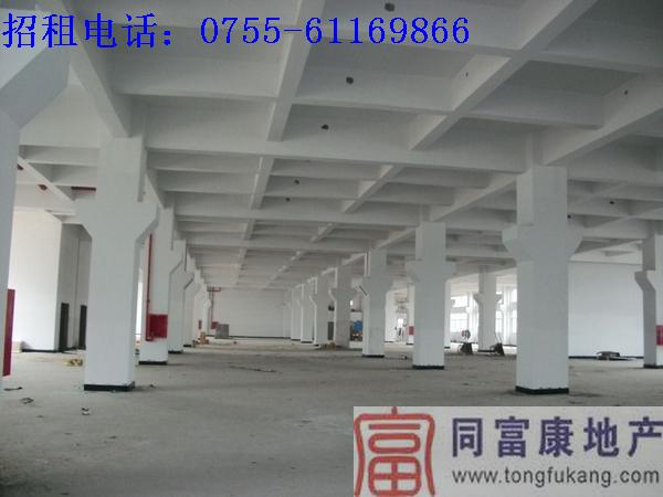 公明帶裝修廠房招租（公明廠房信息）公明帶裝修廠房招租公明廠房信息