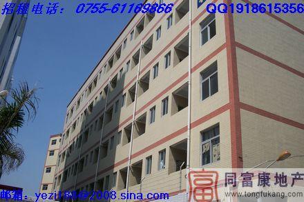 松崗獨(dú)院四層5500平方廠房招租圖片