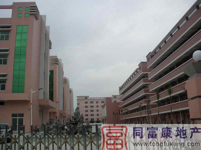 供應(yīng)光明獨(dú)門獨(dú)院廠房出租