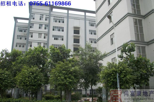 供應(yīng)深圳光明公明廠房招商