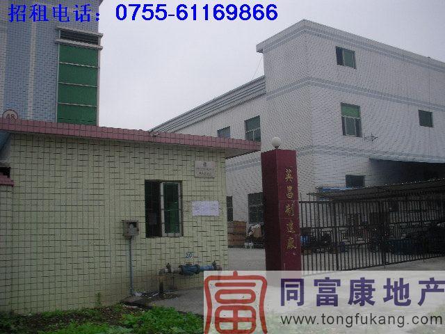 供應(yīng)石巖全新廠房租賃