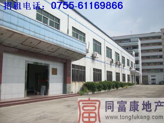 供應(yīng)公明光明大型獨院廠房