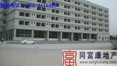 深圳公明全新廠房招租公明廠房圖片