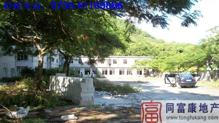 公明獨(dú)院廠房招租（公明廠房）