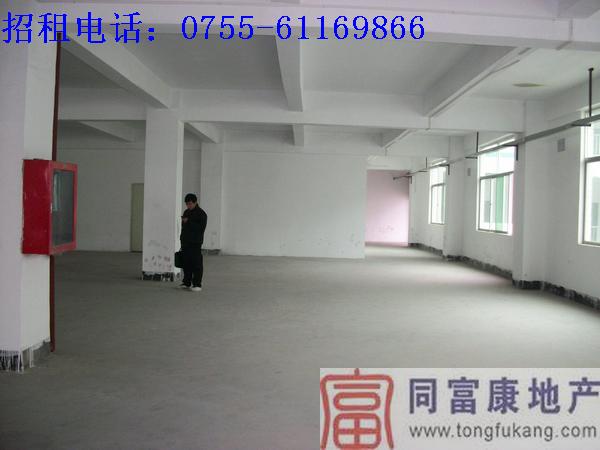 公明廠房招租信息圖片
