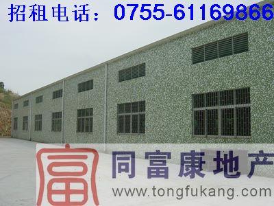 鋼構(gòu)廠房圖片/鋼構(gòu)廠房樣板圖 (2)