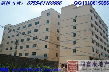 公明全新獨院廠房出租圖片