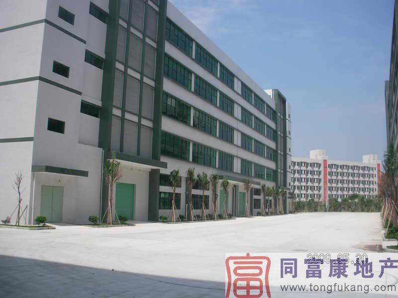 光明全新獨(dú)院廠房隆重招租圖片