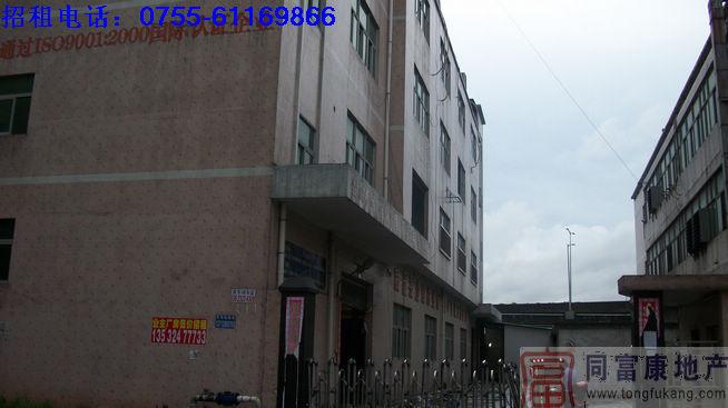 廠房招租圖片/廠房招租樣板圖 (3)