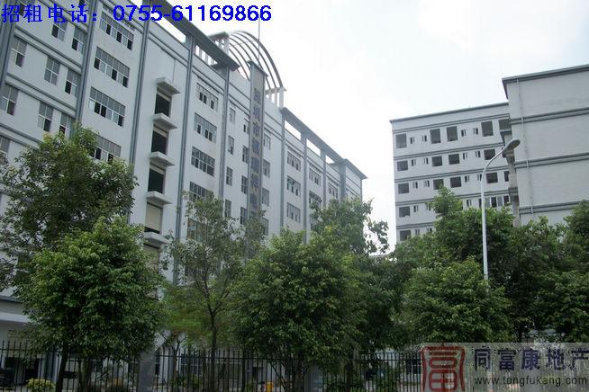 公明新廠房招租廣東廠房圖片