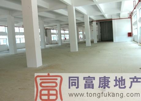 供應(yīng)公明一樓1040平方米廠房招租