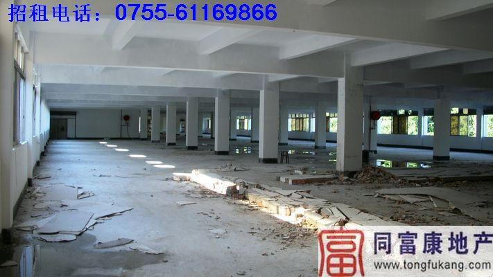 公明廠房一樓嶄新廠房出租圖片