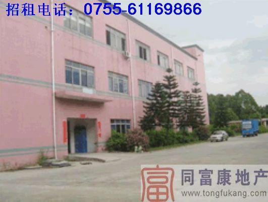 供應石巖3750平方米廠房