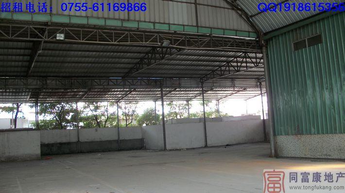 公明獨(dú)院鐵皮廠房招租—廣東深圳廠房公明獨(dú)院鐵皮廠房招租廣東深圳廠