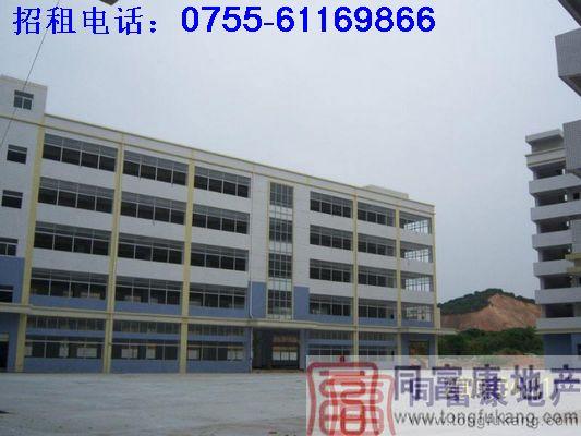 供應(yīng)深圳廠房分層招租