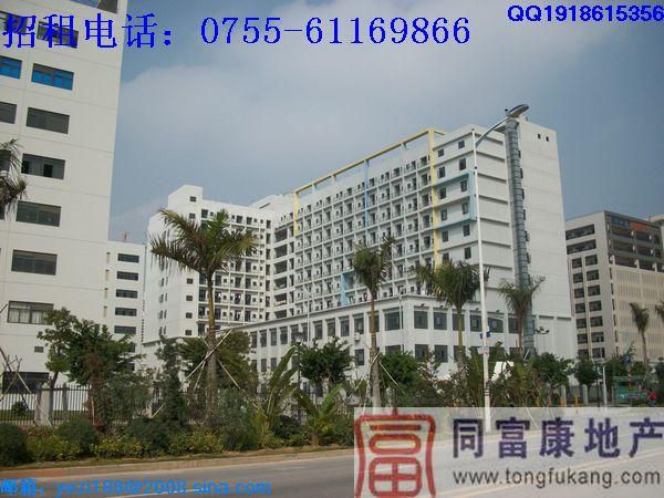 石巖獨院廠房招租寶安廠房圖片