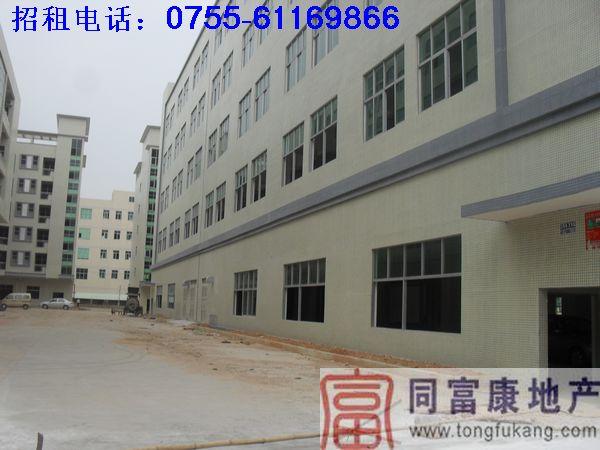 供應(yīng)公明單門獨(dú)院廠房出租