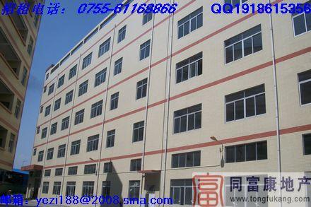 石巖全新獨(dú)院廠房8000平米招租圖片