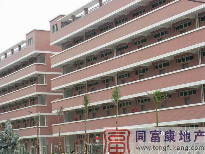 供應(yīng)6030㎡公明獨(dú)院廠房招租6030公明獨(dú)院廠房招租