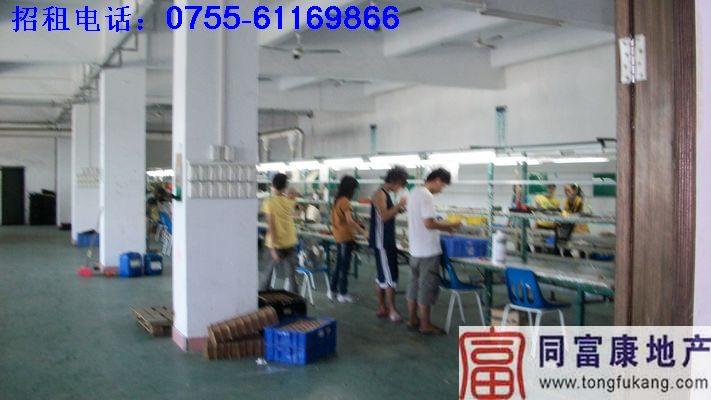 供應(yīng)石巖全新廠房租賃