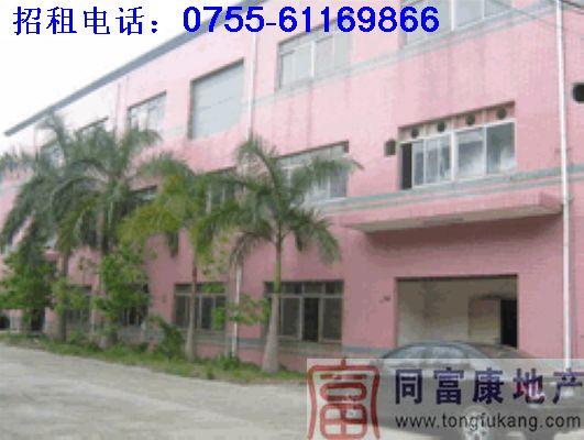 廣東深圳松崗圖片/廣東深圳松崗樣板圖 (4)