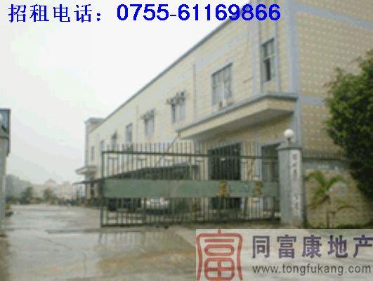 供應(yīng)公明光明大型獨院廠房