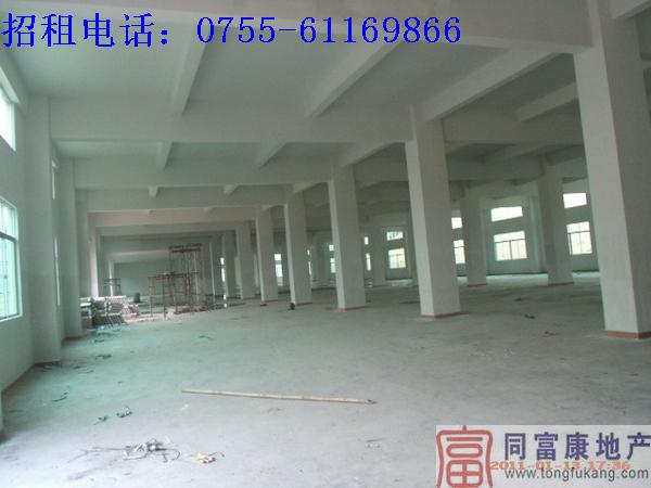 深圳公明3200平方新廠房招租
