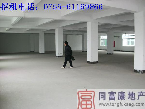 深圳光明各式廠(chǎng)房火熱招租任你選圖片