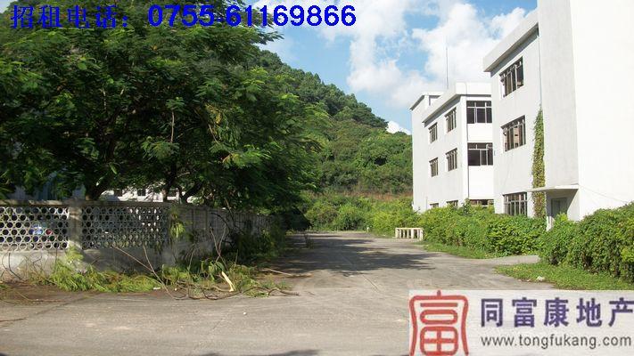 公明鋼構(gòu)廠房招租