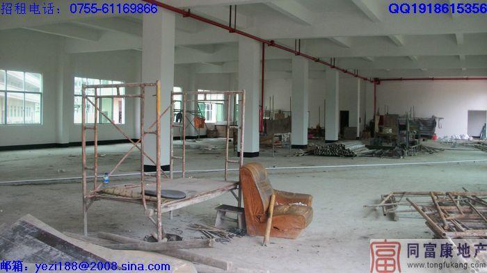 松崗獨(dú)院廠房招租寶安廠房圖片