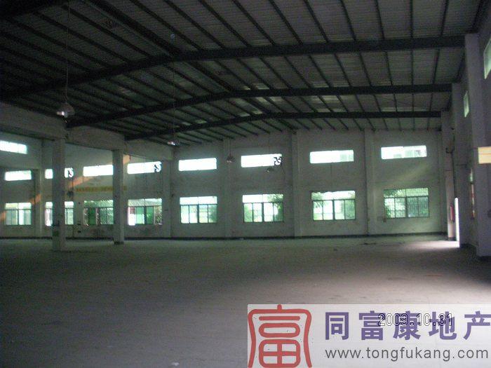 公明鋼構(gòu)廠房招租寶安廠房圖片